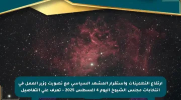 ارتفاع التطمينات واستقرار المشهد السياسي مع تصويت وزير العمل في انتخابات مجلس الشيوخ اليوم 4 أغسطس 2025 – تعرف على التفاصيل